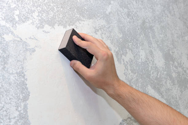 Best Dehumidification Services  in Sinton, TX