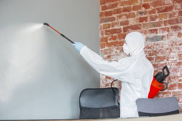 Best Forensic Mold Investigation  in Sinton, TX