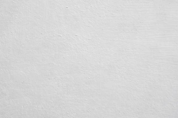  Sinton, TX Mold Removal Pros