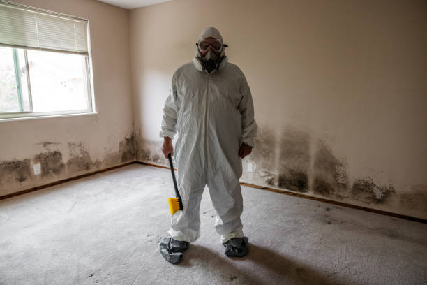 Forensic Mold Investigation in Sinton, TX