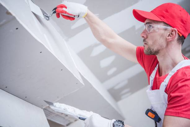 Best Crawl Space Mold Remediation  in Sinton, TX